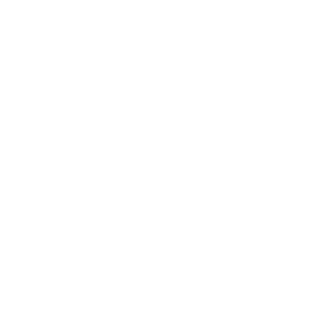 WayFinder China Logo